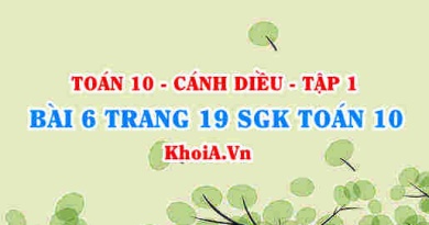 Bài 6 trang 19 SGK Toán 10 tập 1 Cánh Diều